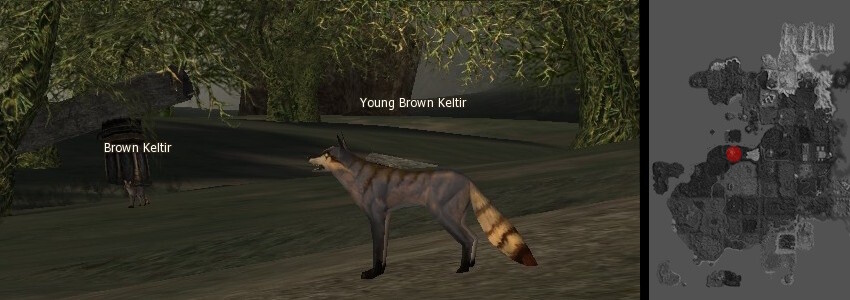 Keltir l2