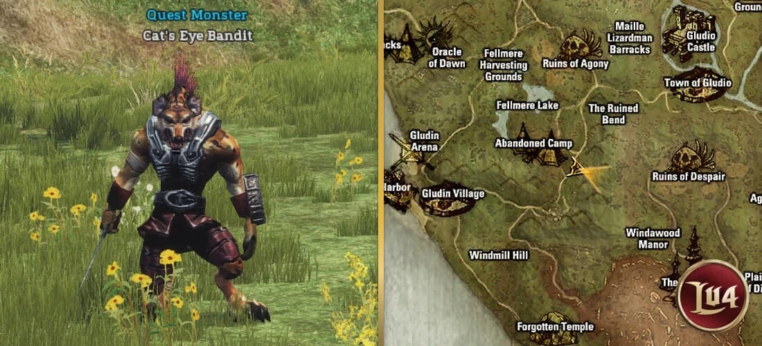 Cat's Eye Bandit l2