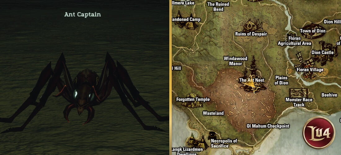 Ant Captain l2