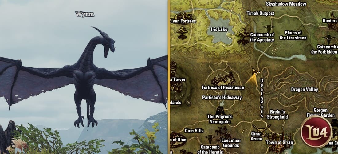 Wyrm l2