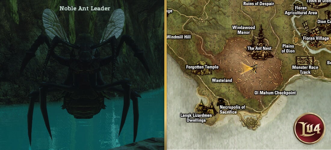 Noble Ant Leader l2