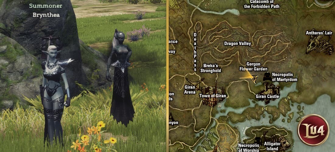 Brynthea l2