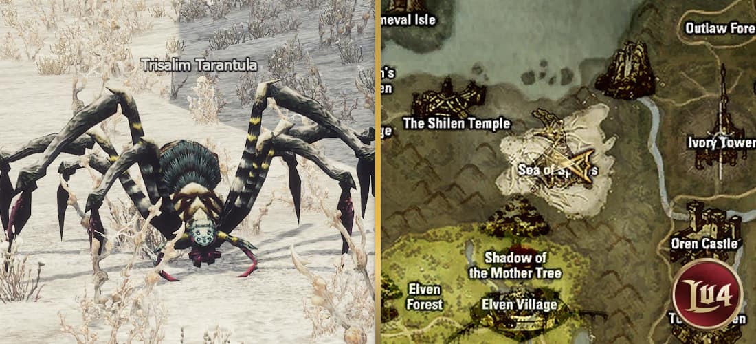 Trisalim Tarantula l2